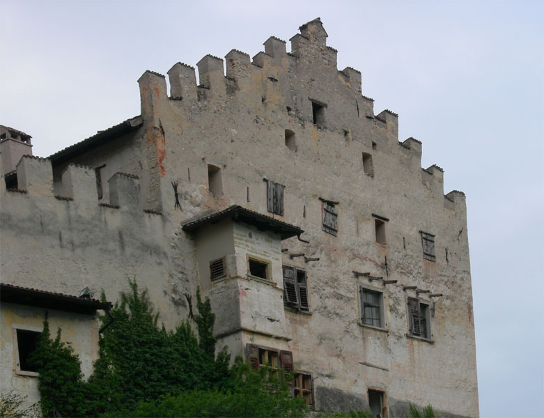 Castelli,Torri e Palazzi.....del Trentino